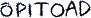 &Otilde;pitoad